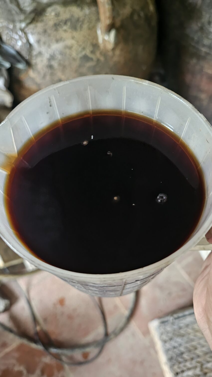 Rượu Si Đỏ