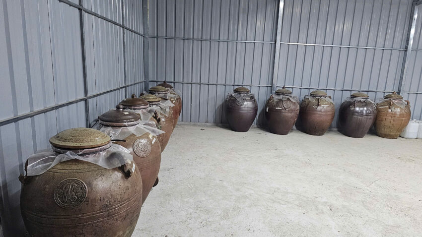 Rượu Sâm Tiến Vua