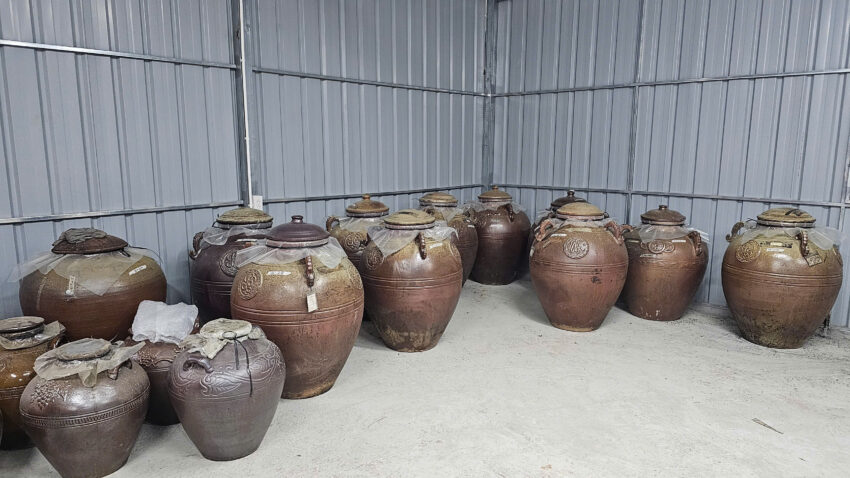 Rượu Sâm Tiến Vua